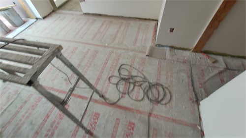 IMG_20201114_090505.jpg