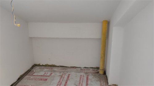 IMG_20201114_090516.jpg