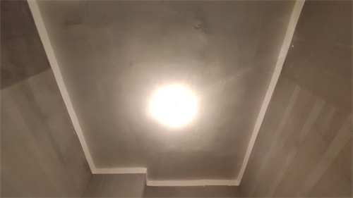 IMG_20201130_131425.jpg
