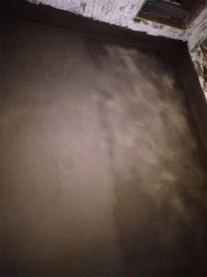 mmexport1607068065863.jpg