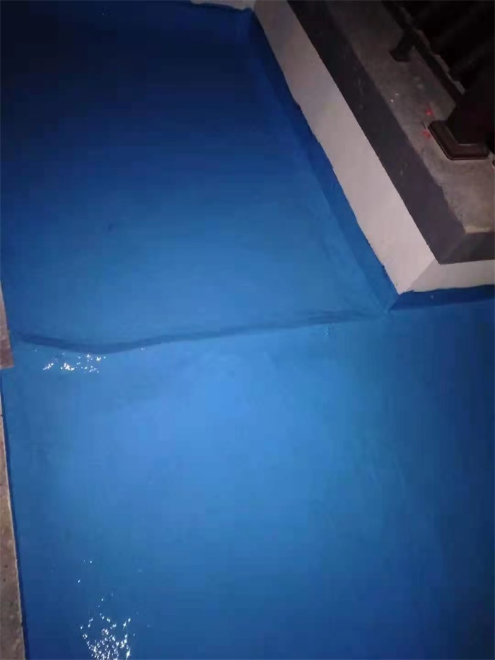 mmexport1607067967545.jpg
