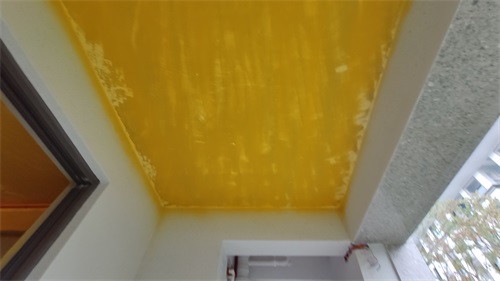 IMG_20201102_091234.jpg
