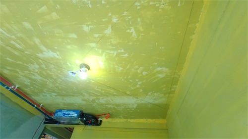 IMG_20201102_092036.jpg