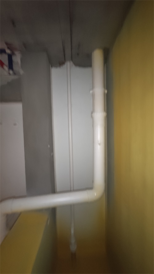 IMG_20201102_100423.jpg