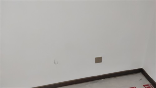 IMG_20201205_165559.jpg