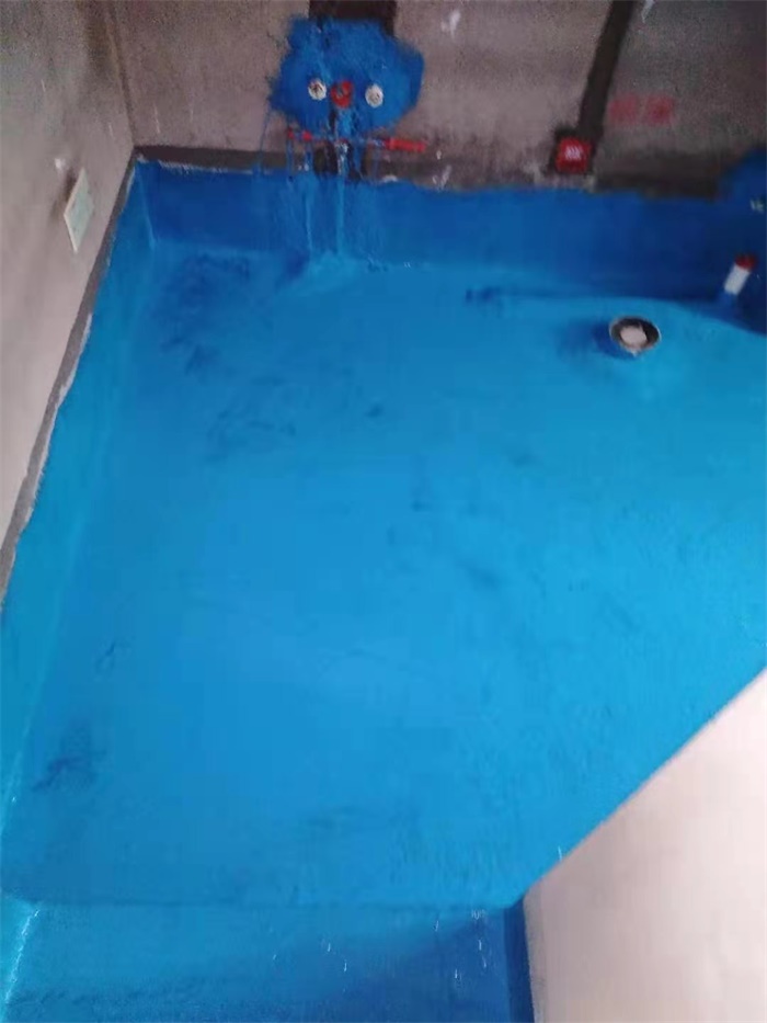 mmexport1607911016320.jpg