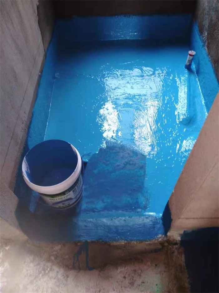 mmexport1607911113528.jpg