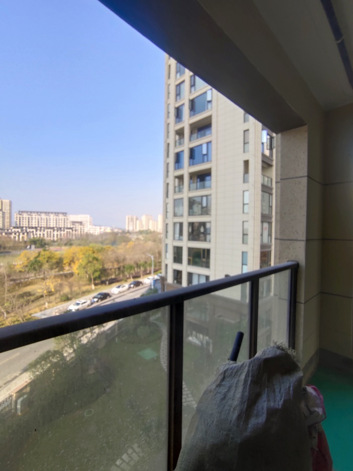 IMG_20201216_134749.jpg