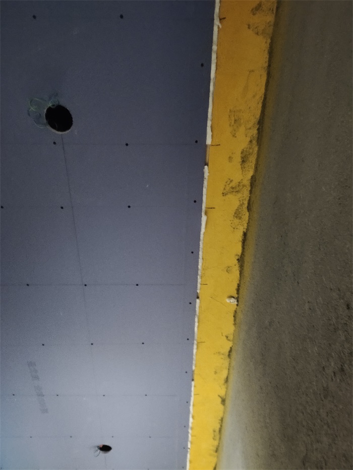 IMG_20201215_142224.jpg