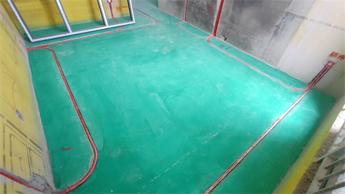 IMG_20201211_110006.jpg