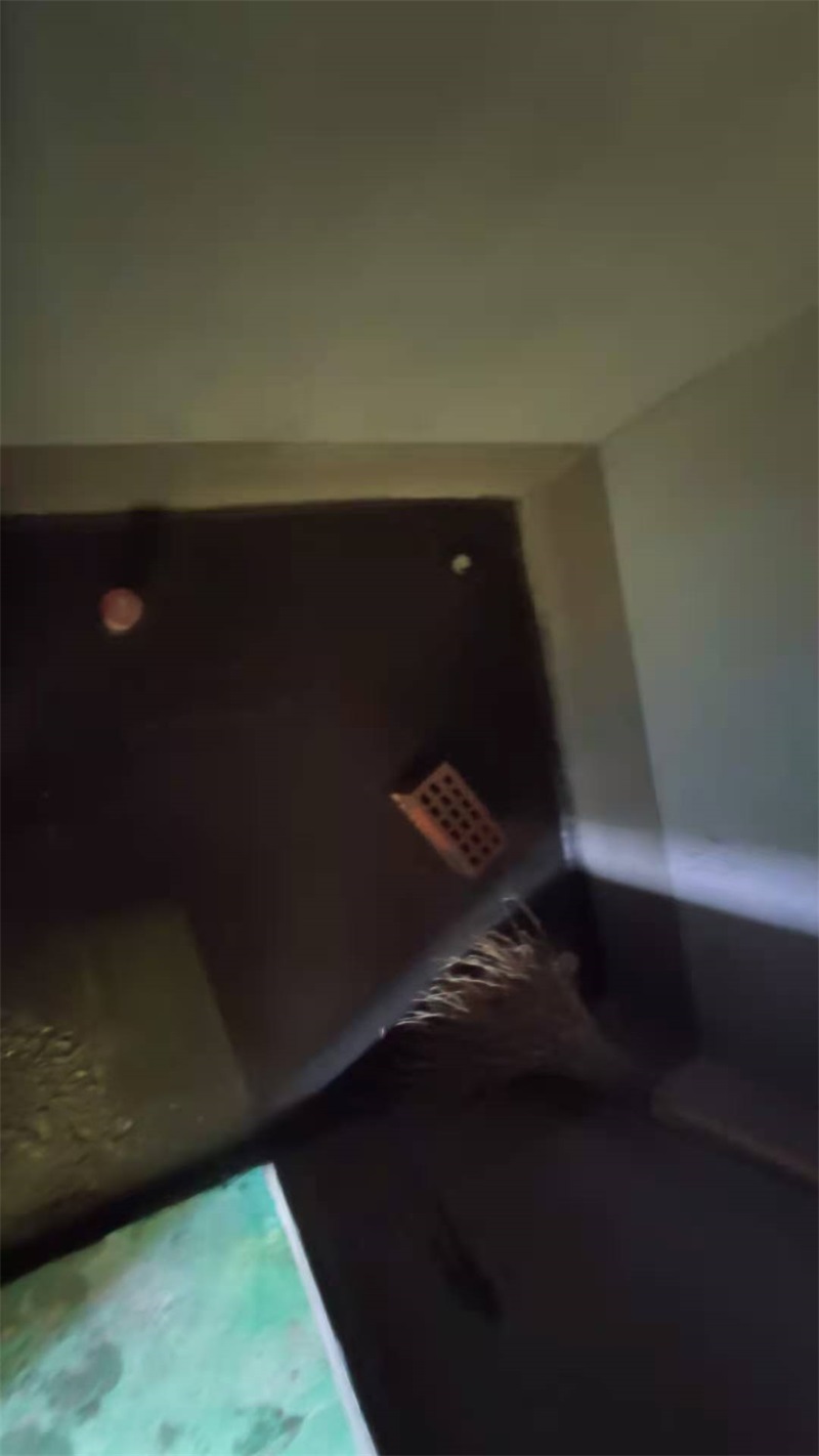 ΢��ͼƬ_2020121715483472.jpg