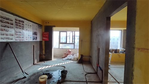 IMG_20201220_141110.jpg