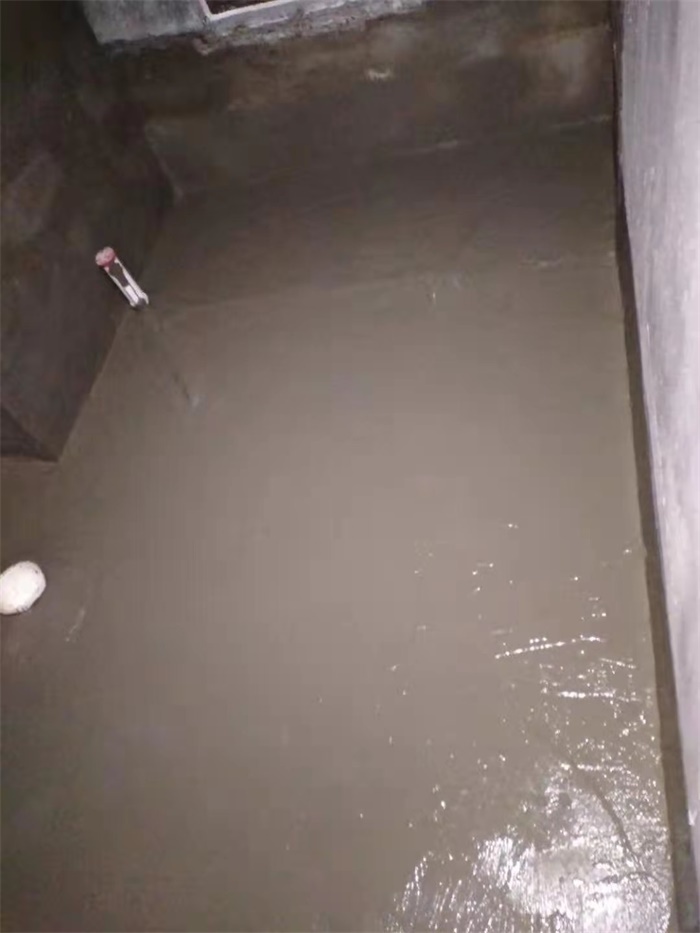mmexport1608688315799.jpg