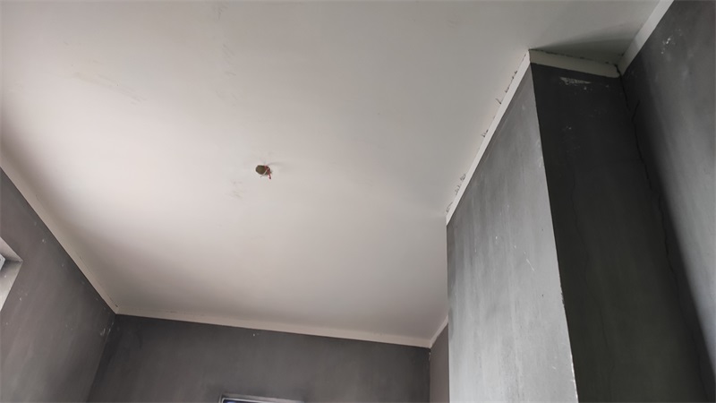 IMG_20201222_094518.jpg