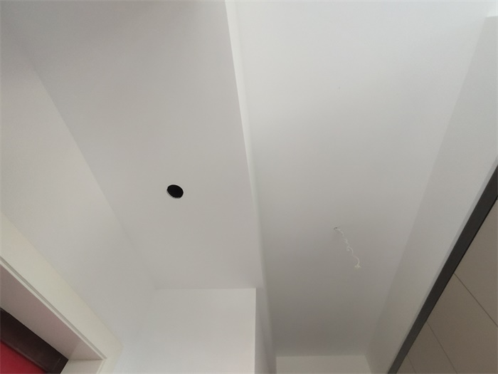 IMG_20201225_084255.jpg