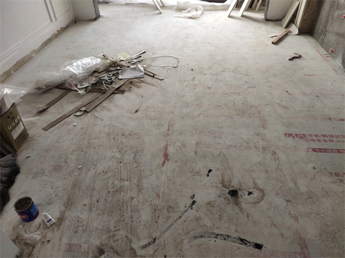 IMG_20201225_085901.jpg