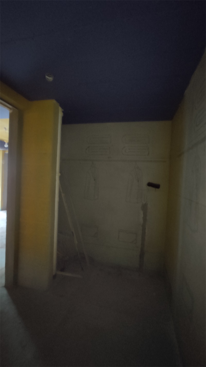 IMG_20201224_093715.jpg
