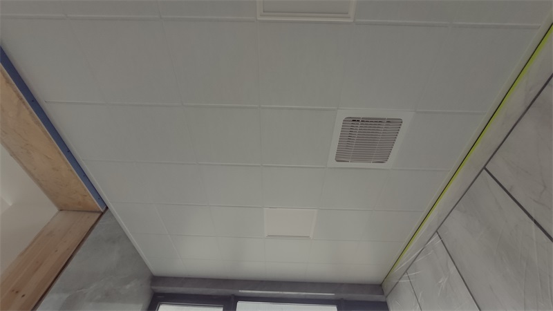 IMG_20201228_083732.jpg