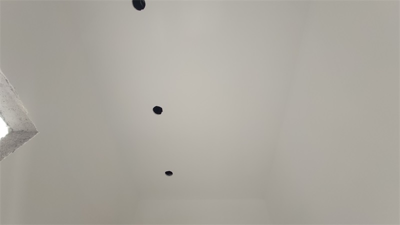 IMG_20201224_111957.jpg