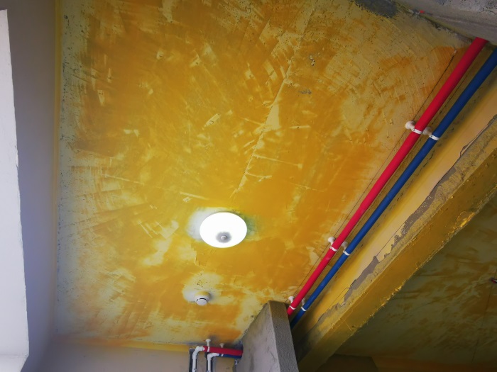 IMG_20201225_150419.jpg