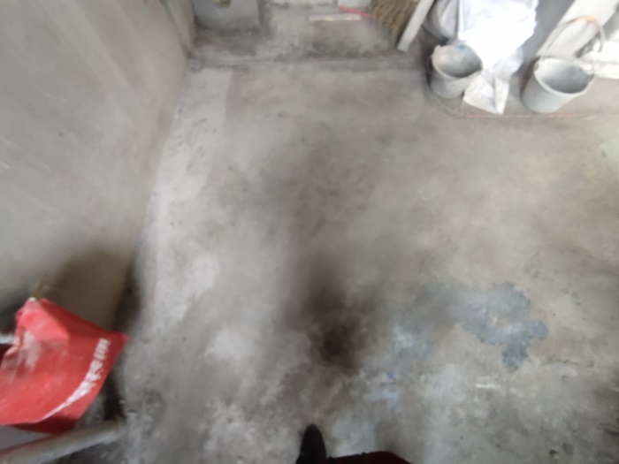 IMG_20201230_104924.jpg