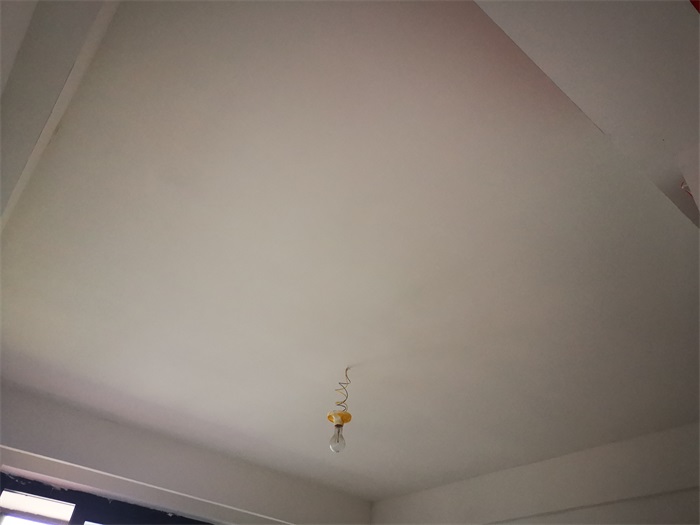 IMG_20201229_112259.jpg