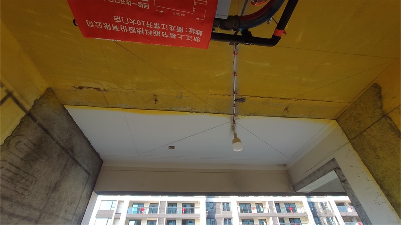IMG_20201231_153108.jpg