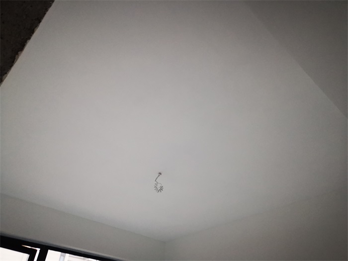 IMG_20201229_151010.jpg