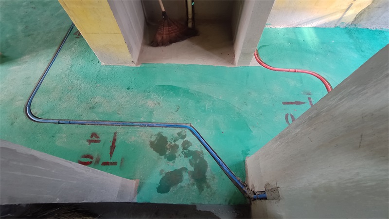 IMG_20210104_091010.jpg