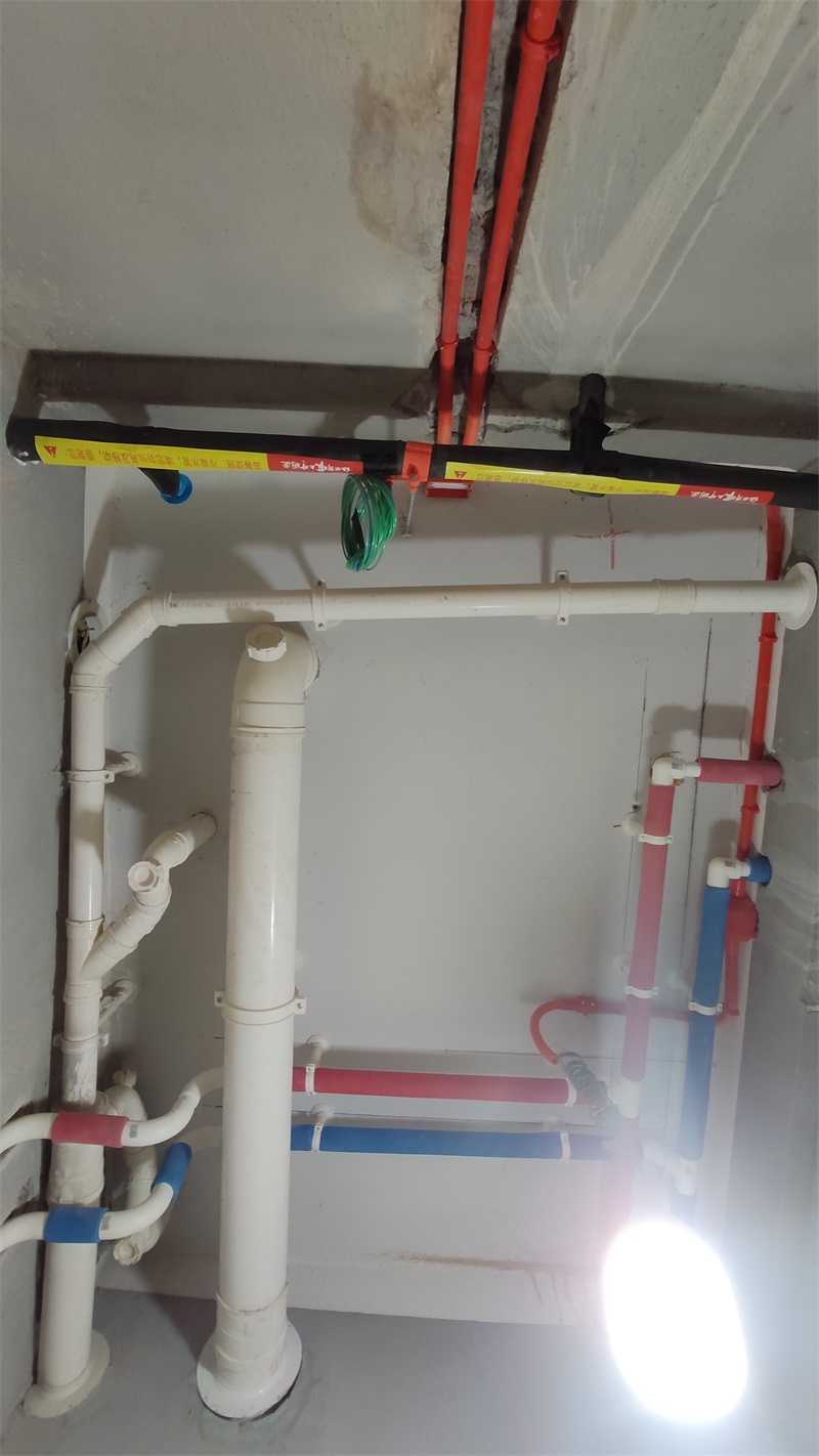 IMG_20210104_091152.jpg