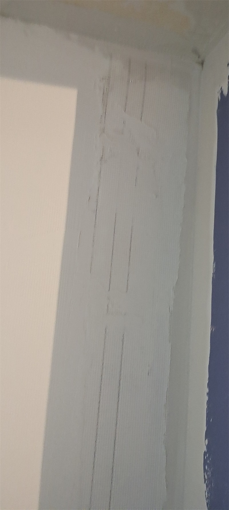 mmexport1610074921927.jpg