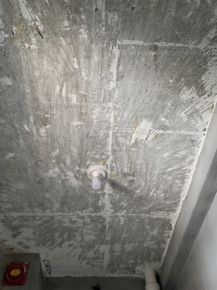 IMG_6556.JPG