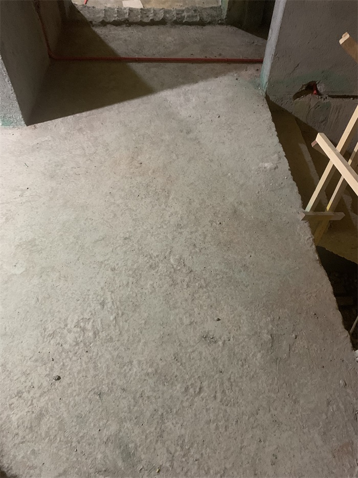 IMG_7515.JPG