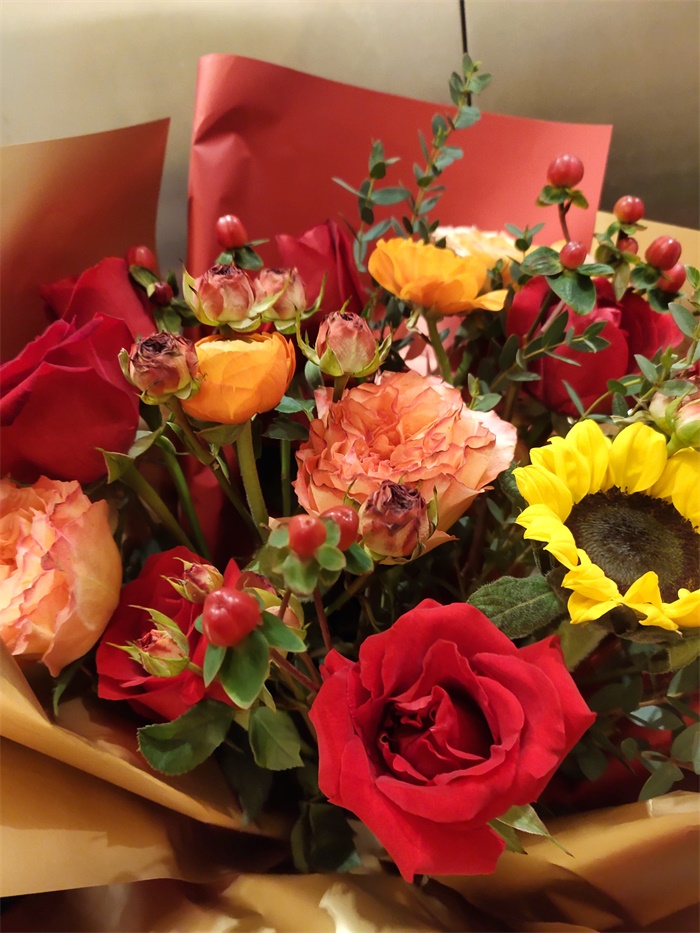 IMG_20210121_083156.jpg