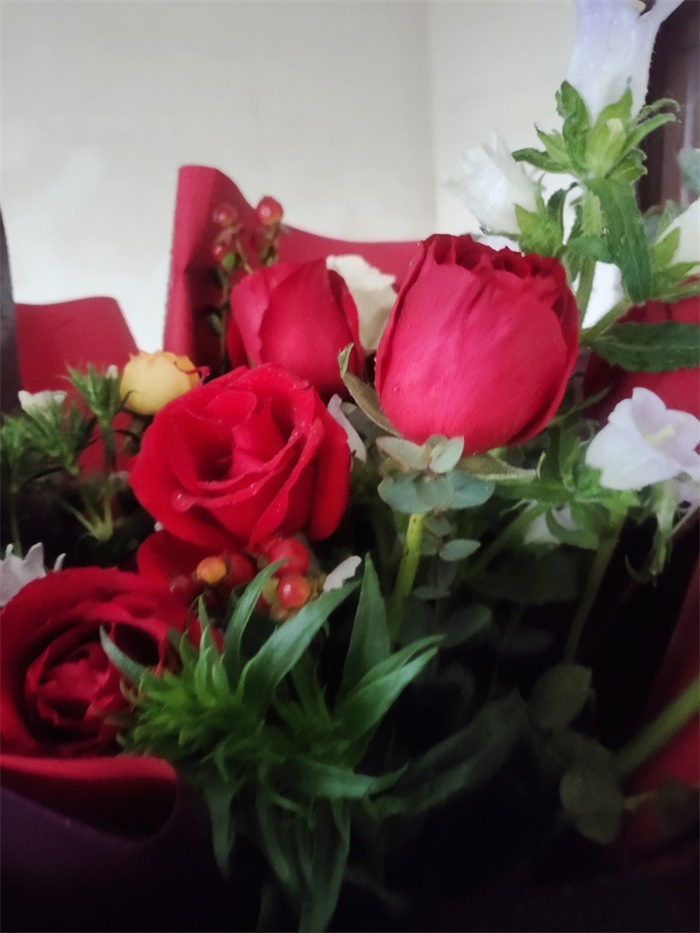 IMG_20210122_083837.jpg