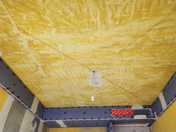 IMG_20210130_094622.jpg