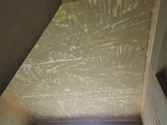 IMG_20210301_084646.jpg