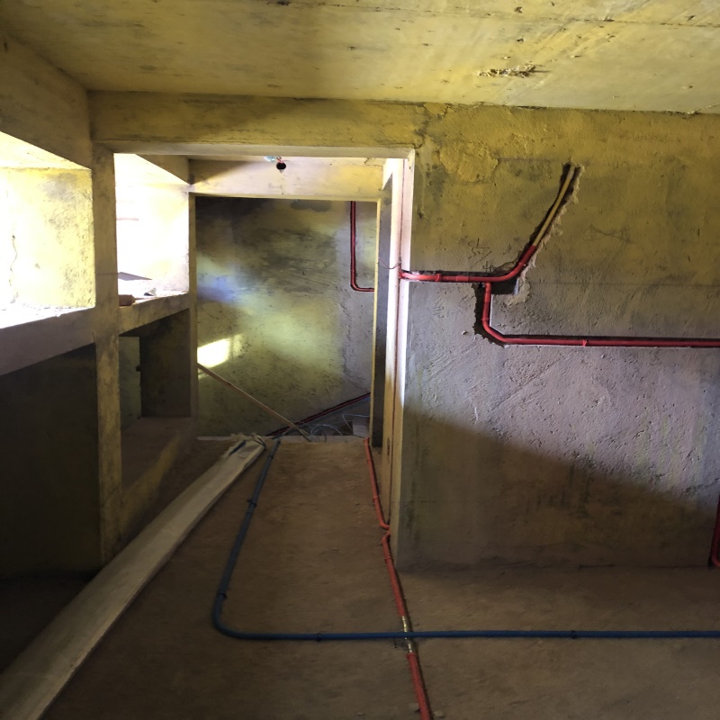 IMG_4726.JPG