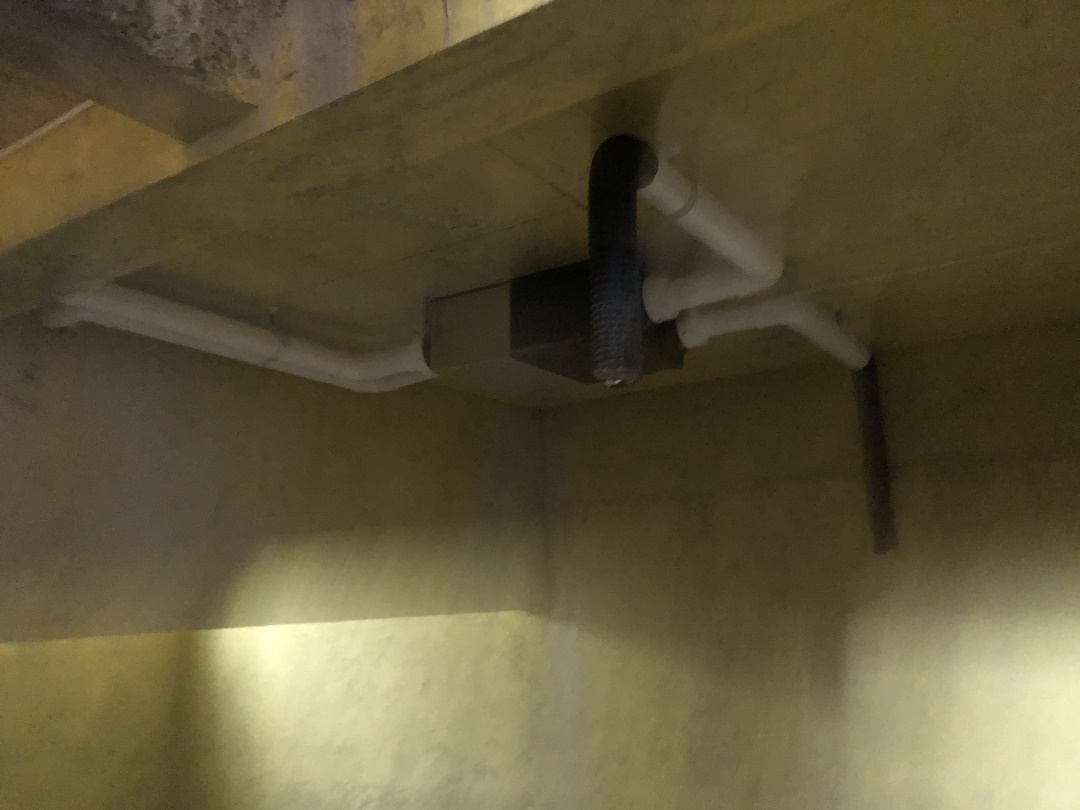 IMG_5507.JPG