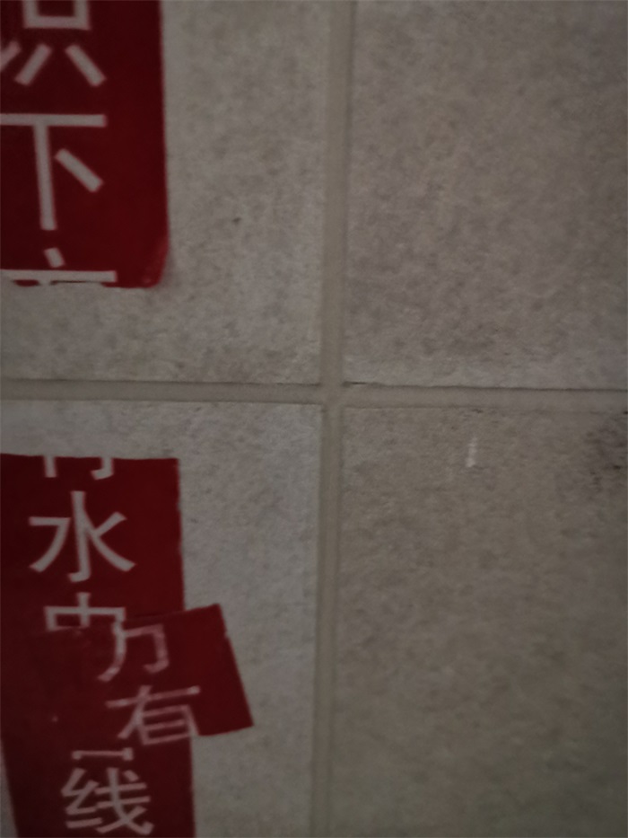 IMG_20210303_144116.jpg