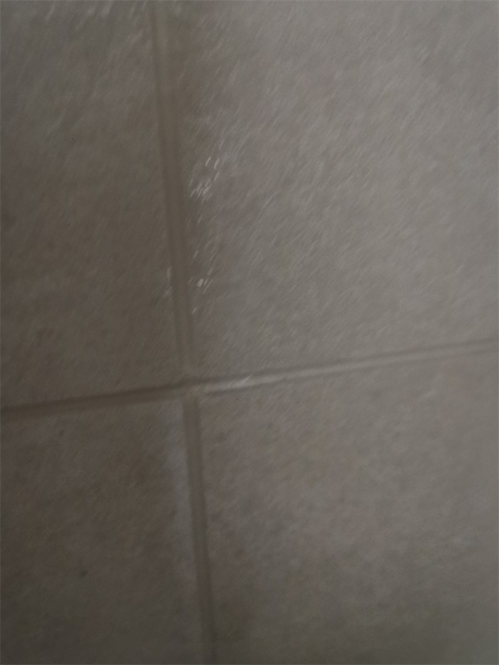 IMG_20210303_144356.jpg