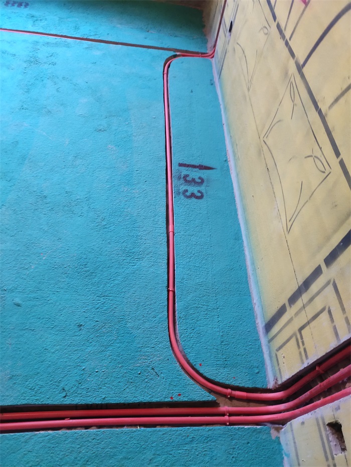 IMG_20210306_122817.jpg