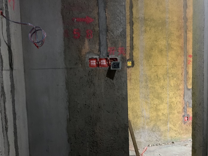 IMG_1003.JPG