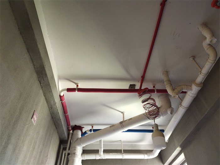 IMG_20210326_104324.jpg