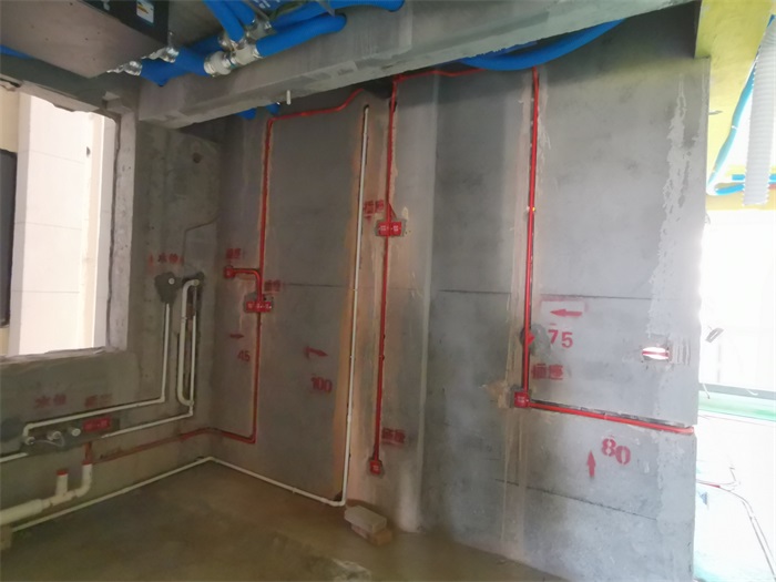 IMG_20210326_134900.jpg