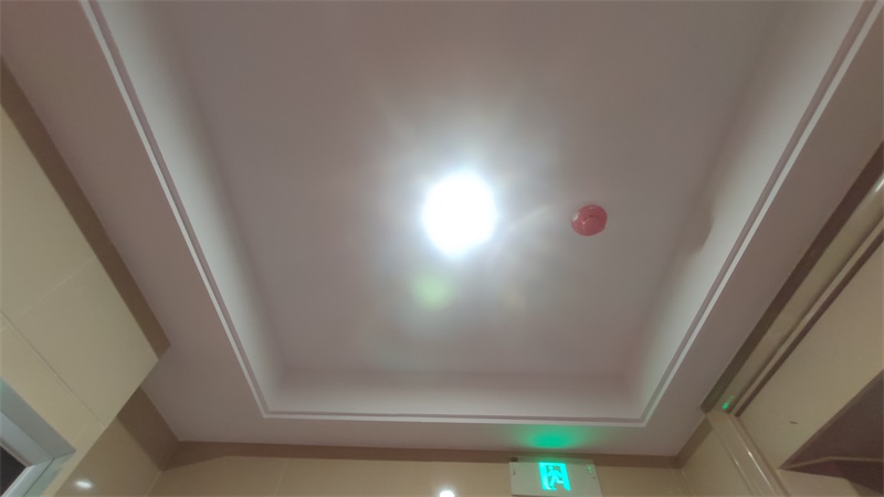 IMG_20210328_102641.jpg
