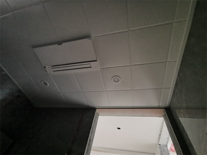 IMG_20210331_112311.jpg