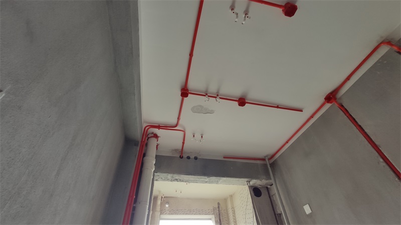 IMG_20210401_104004.jpg