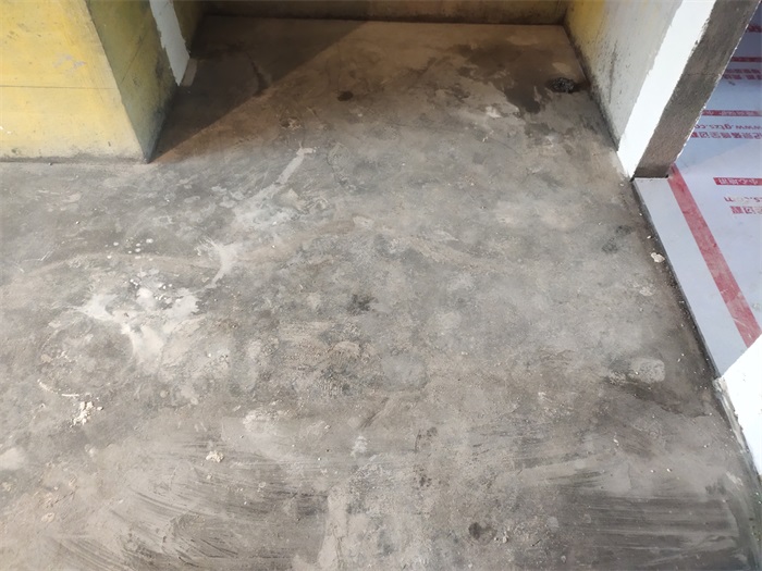 IMG_20210403_090737.jpg