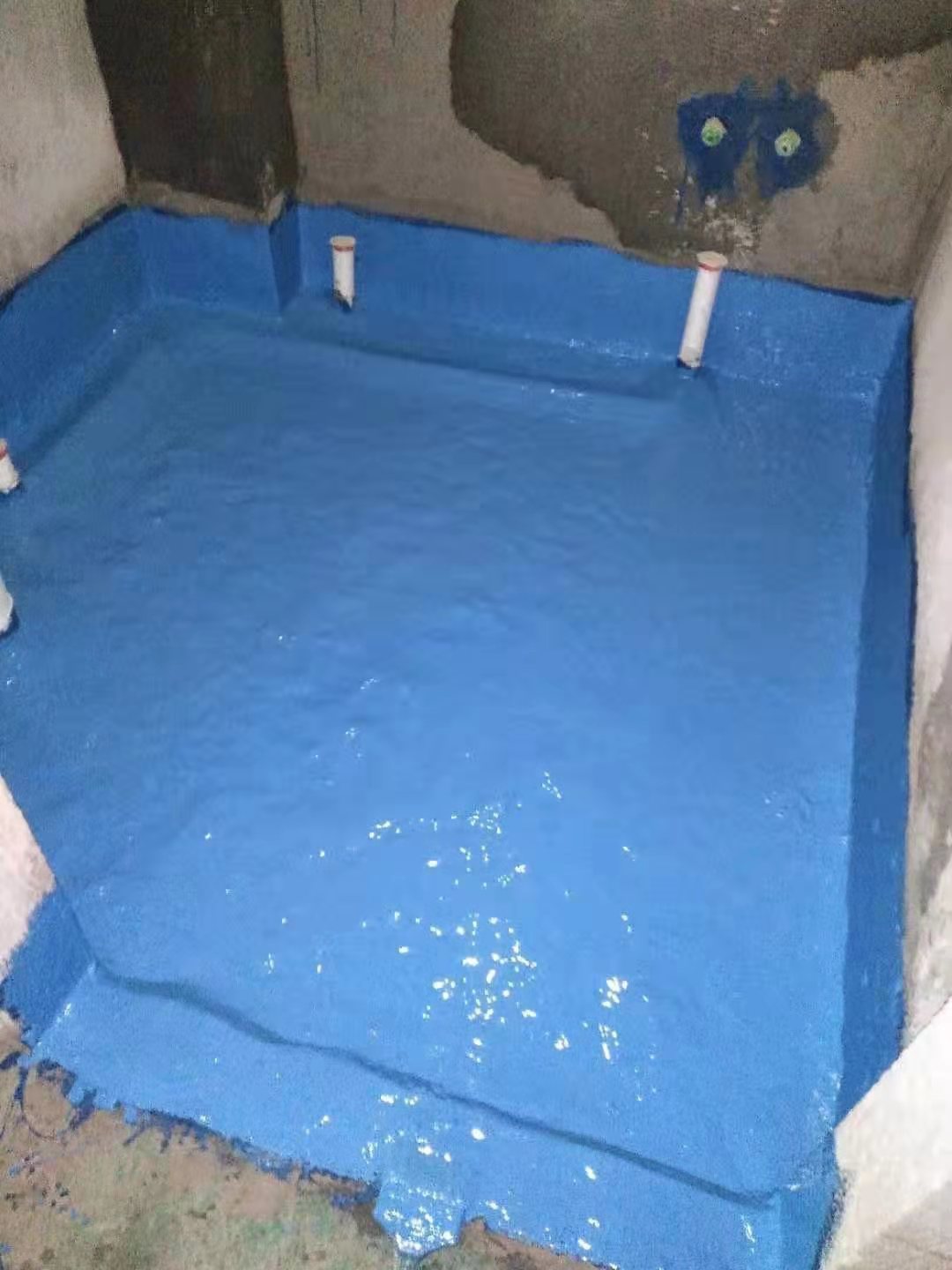 6c2d606de52cd5b4c03a6d04bdbe4eb.jpg